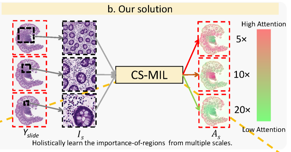 CS-MIL.png